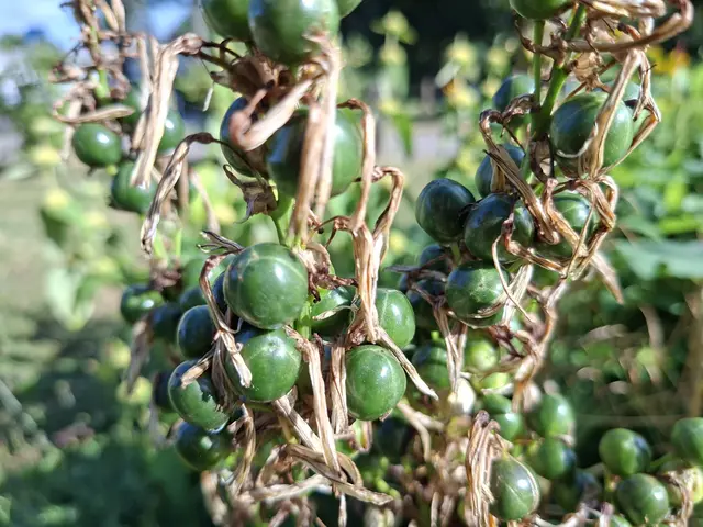 Bad Rappenau- Wasserschloss- Park | Foto: Ralf Röser