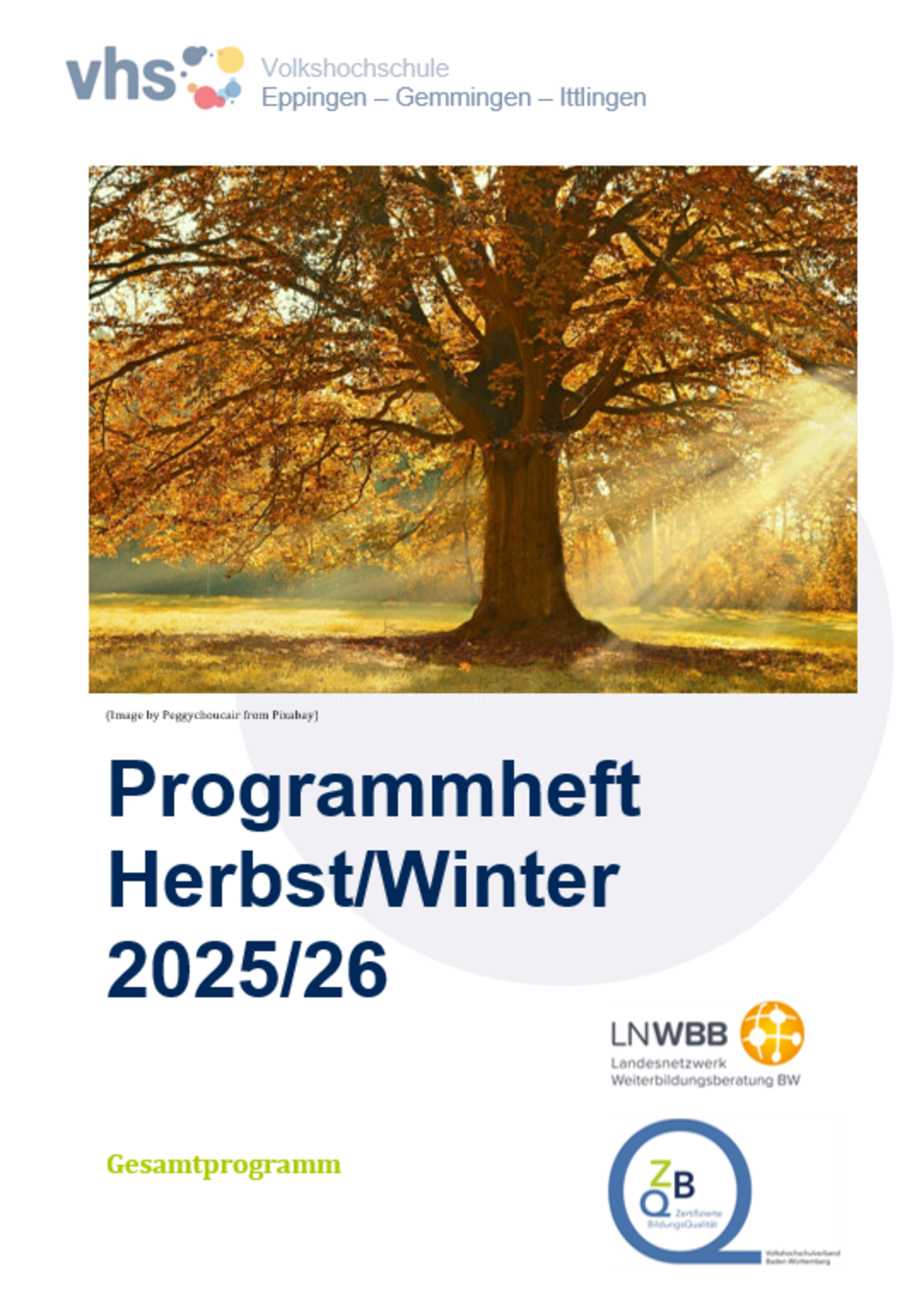 VHS: Herbst-Winter-Semester startet bald!: Das neue VHS-Programm geht ...