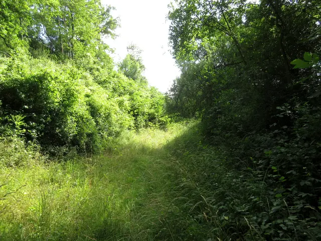 Einmal vom Rad abzusteigen und ein paar Schritte zu gehen würde sich lohnen | Foto: WandernGabyErich