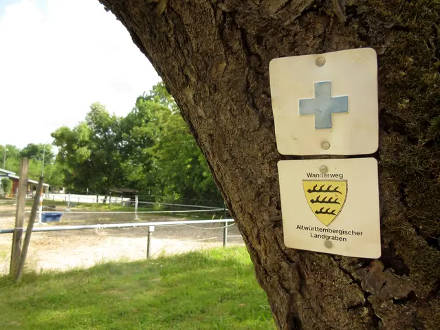 Der Wanderweg ist ausgeschildert, aber das ist nur selten auch genau der Verlaufs des ursprünglichen Grabens | Foto: WandernGabyErich