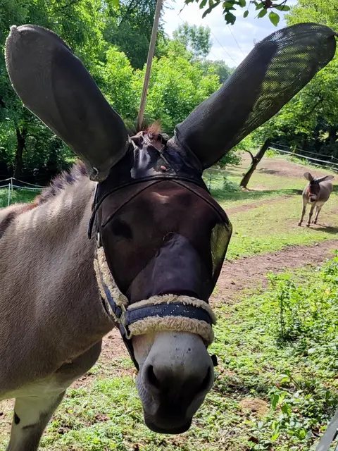 Modell mit Maske | Foto: Aurelia Kling