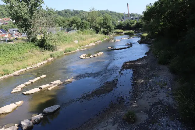 Blick auf den Kocher vom Steg aus | Foto: Marga Specht