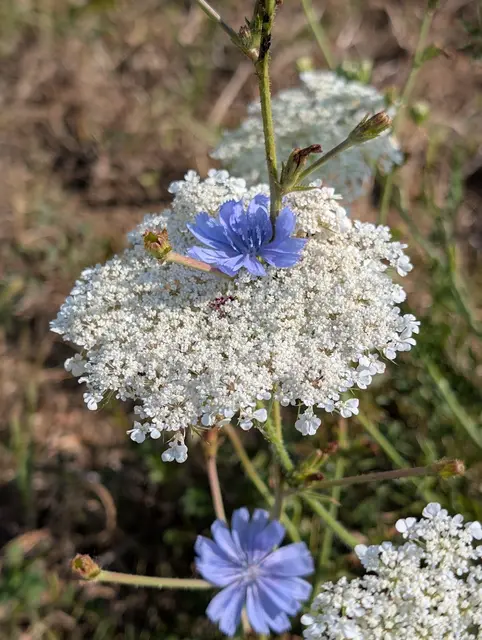 Foto: Eigene Aufnahme