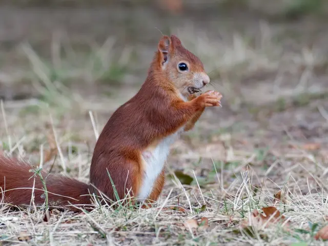 Frühstück ... | Foto: Jörg Haffelder