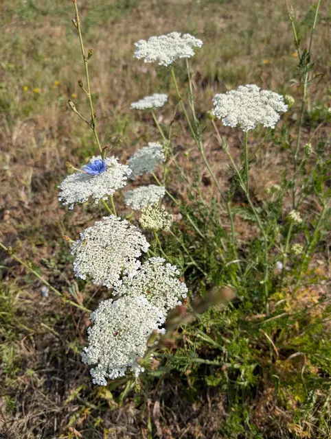 Foto: Eigene Aufnahme