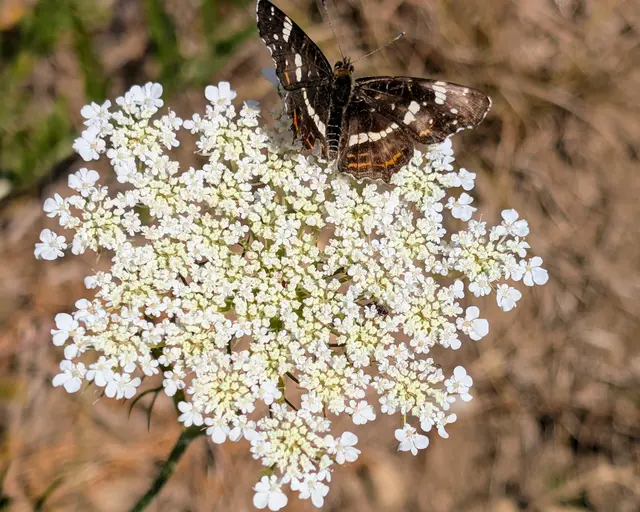 Foto: eigene Aufnahme