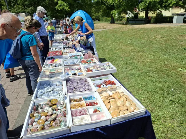 Bad Rappenau- Regionalmarkt- Weindorf- verkaufsoffener Sonntag | Foto: Ralf Röser