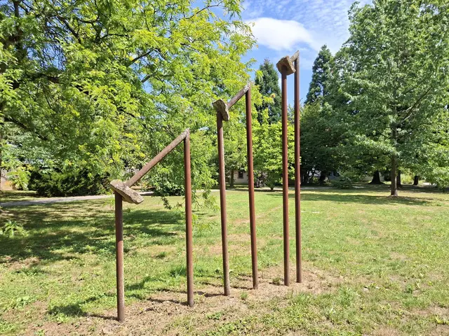 Bad Rappenau- Regionalmarkt- Weindorf- verkaufsoffener Sonntag | Foto: Ralf Röser