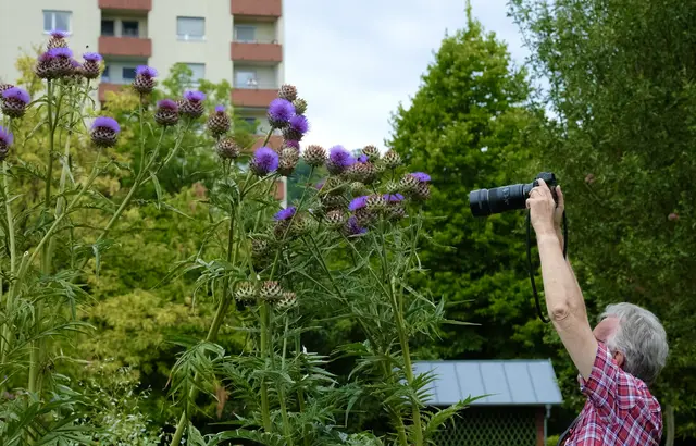 Auf ein Neues ! | Foto: ED