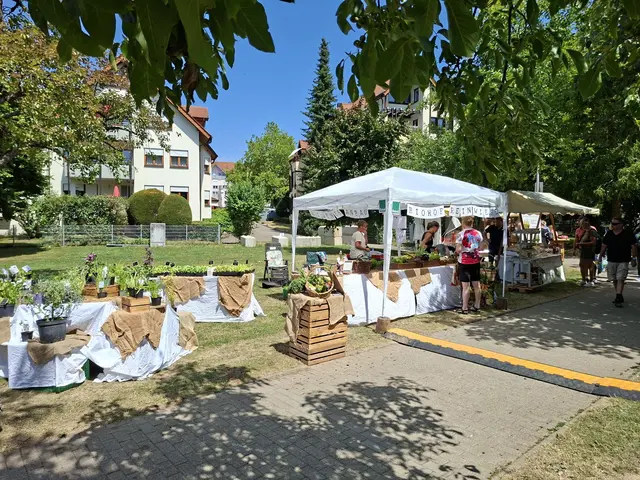 Bad Rappenau- Regionalmarkt- Weindorf- verkaufsoffener Sonntag | Foto: Ralf Röser