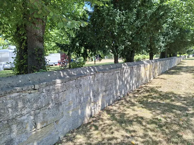 Bad Rappenau- Regionalmarkt- Weindorf- verkaufsoffener Sonntag | Foto: Ralf Röser