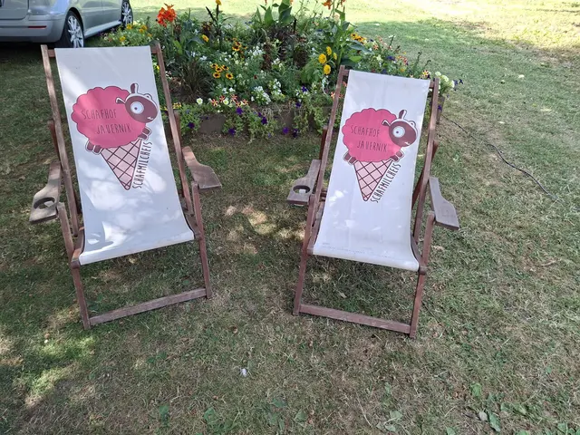 Bad Rappenau- Regionalmarkt- Weindorf- verkaufsoffener Sonntag | Foto: Ralf Röser