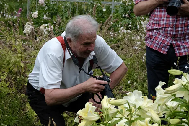 Diese Lilien riechen mal toll ! | Foto: ED