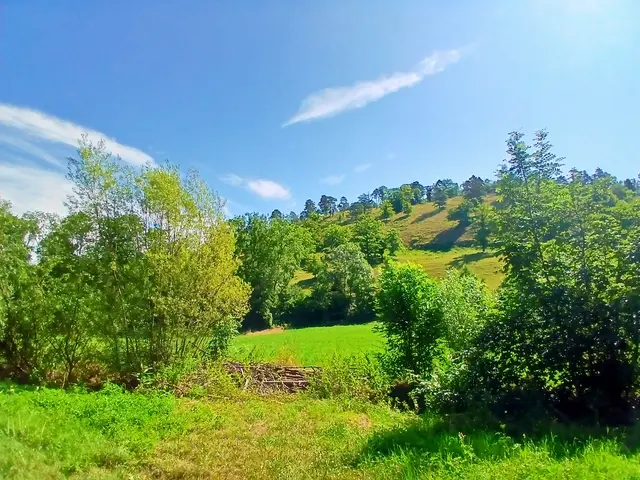 Von den Wiesen hat man einen tollen Blick auf die Hügellandschaft.  | Foto: sigischlottke