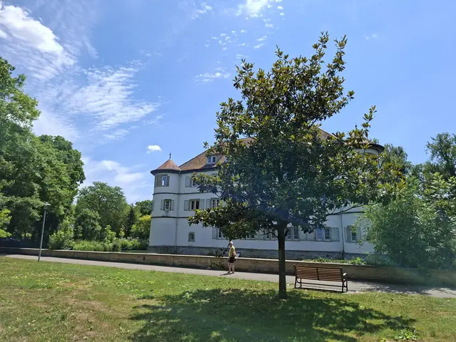 Bad Rappenau- Regionalmarkt- Weindorf- verkaufsoffener Sonntag | Foto: Ralf Röser