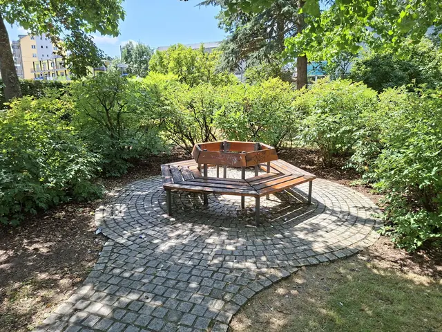 Bad Rappenau- Regionalmarkt- Weindorf- verkaufsoffener Sonntag | Foto: Ralf Röser