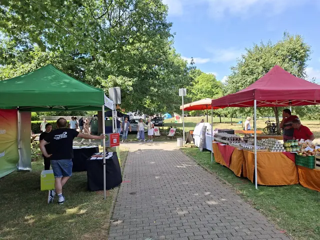 Bad Rappenau- Regionalmarkt- Weindorf- verkaufsoffener Sonntag | Foto: Ralf Röser