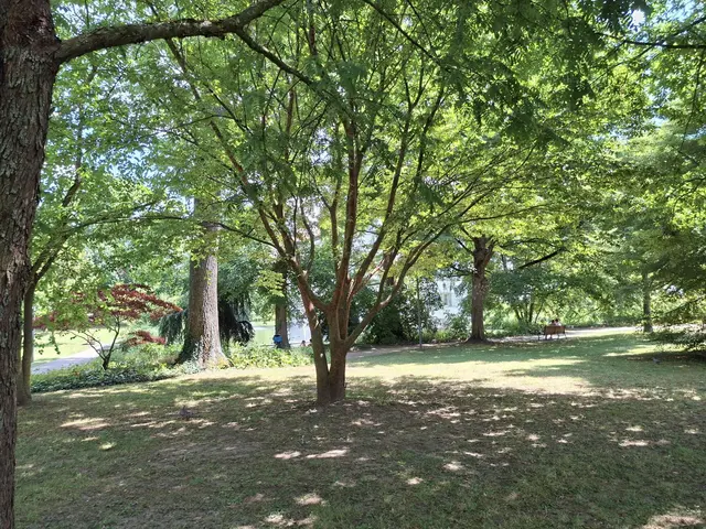 Bad Rappenau- Regionalmarkt- Weindorf- verkaufsoffener Sonntag | Foto: Ralf Röser