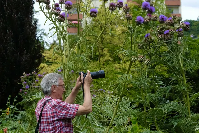 Warum sind die so hoch oben ? | Foto: ED