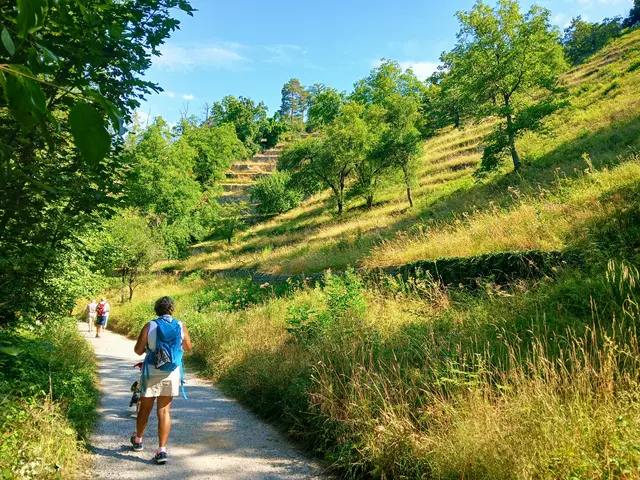 ....... durch das Remminger Tal.  | Foto: sigischlottke