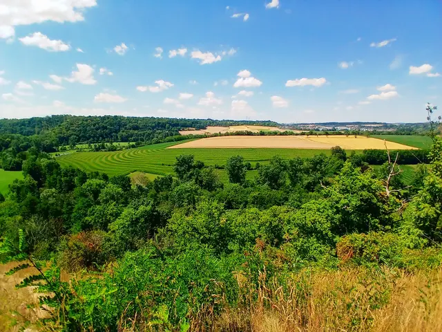 Nach einem kurzen, aber hitzigen Anstieg auf dem Sonnenberg angekommen. Schöne Ausblicke über's Land.   | Foto: sigischlottke