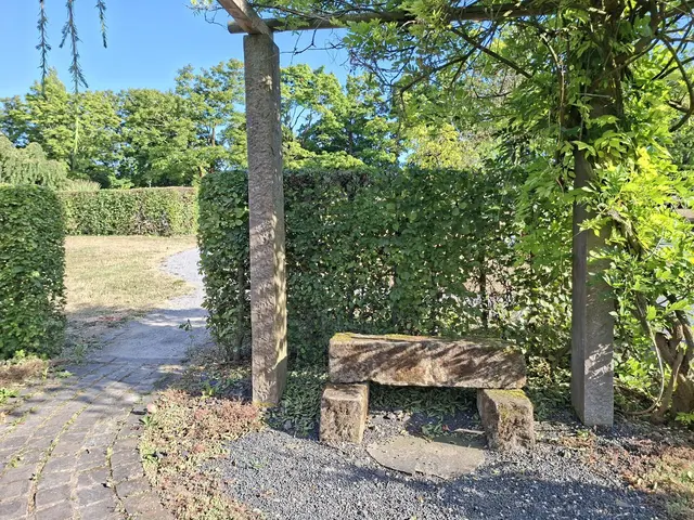 Bad Rappenau- Salinenpark- neues entdecken🌻🐝🌞 | Foto: Ralf Röser