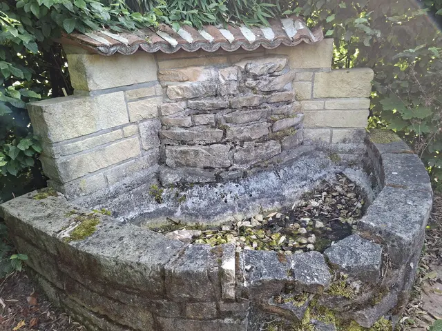 Bad Rappenau- Salinenpark- neues entdecken🌻🐝🌞 | Foto: Ralf Röser