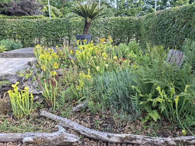 Bad Rappenau- Salinenpark- neues entdecken🌻🐝🌞 | Foto: Ralf Röser