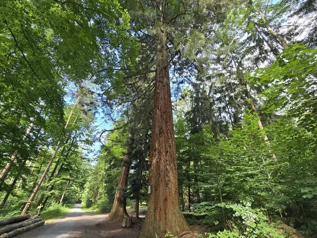 Foto: Heidrun Rosenberger