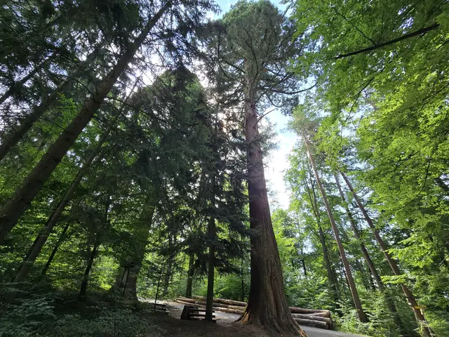 Foto: Heidrun Rosenberger