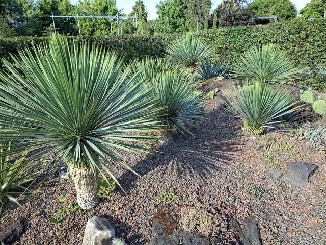 Bad Rappenau- Salinenpark- neues entdecken🌻🐝🌞 | Foto: Ralf Röser