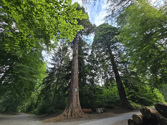 Foto: Heidrun Rosenberger