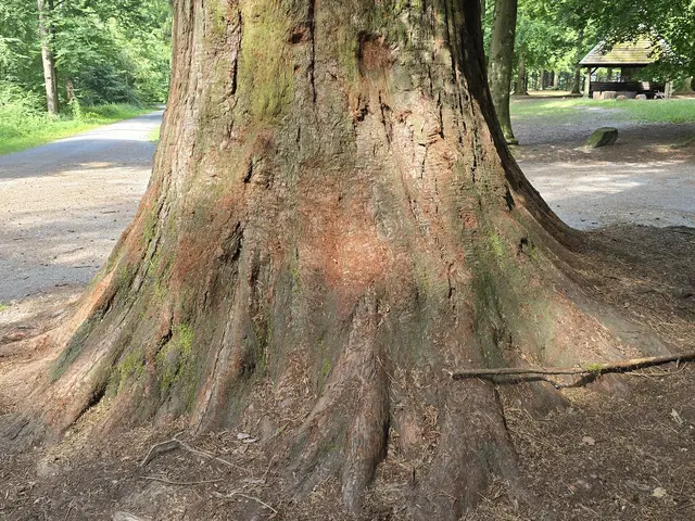 Foto: Heidrun Rosenberger