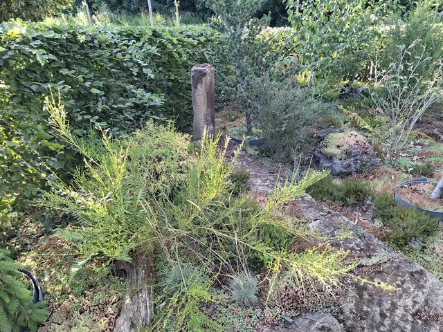 Bad Rappenau- Salinenpark- neues entdecken🌻🐝🌞 | Foto: Ralf Röser