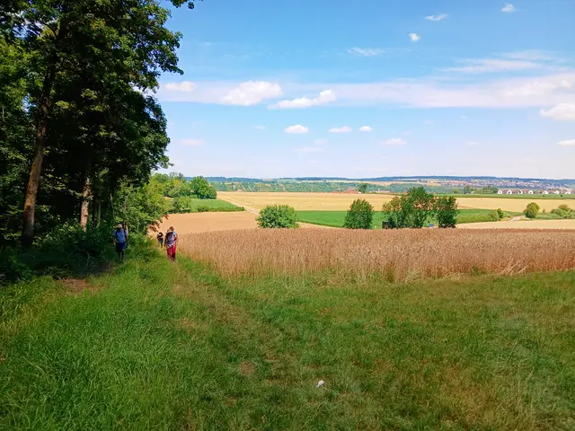 Da kommen se de Buckel nuff 🥵 | Foto: sigischlottke