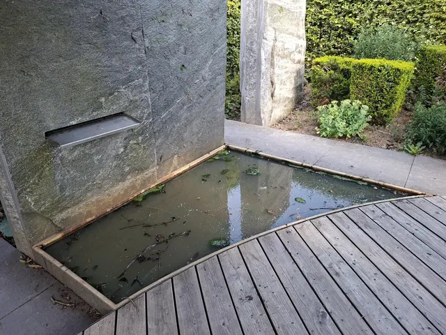 Bad Rappenau- Salinenpark- neues entdecken🌻🐝🌞 | Foto: Ralf Röser