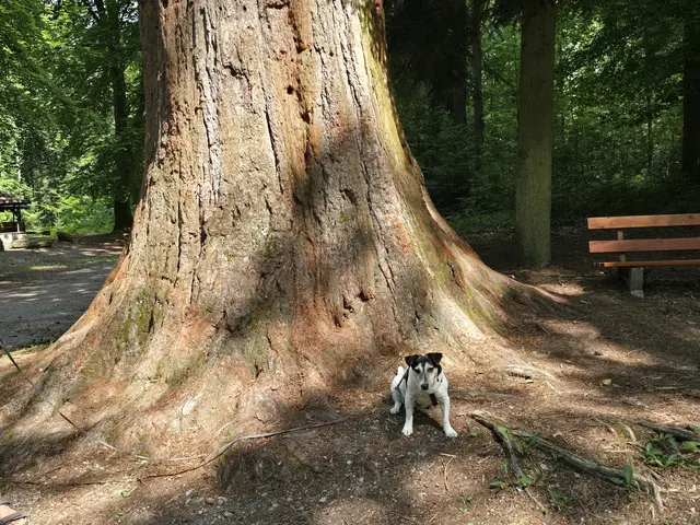 Foto: Heidrun Rosenberger