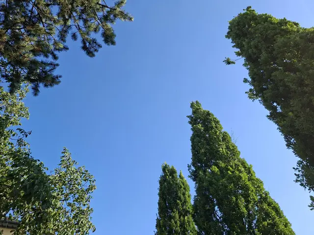 Bad Rappenau- Salinenpark- neues entdecken🌻🐝🌞 | Foto: Ralf Röser