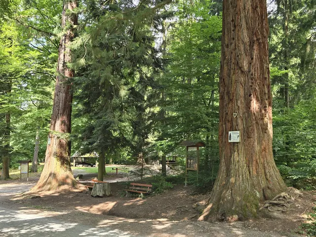 Foto: Heidrun Rosenberger