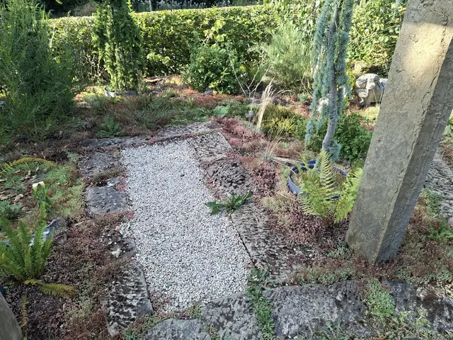 Bad Rappenau- Salinenpark- neues entdecken🌻🐝🌞 | Foto: Ralf Röser