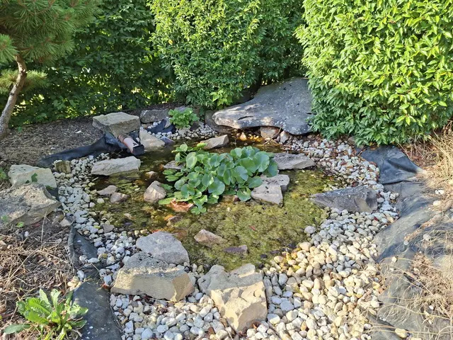 Bad Rappenau- Salinenpark- neues entdecken🌻🐝🌞 | Foto: Ralf Röser