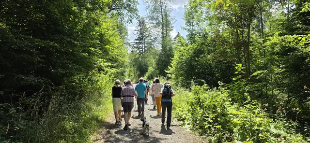 ... wieder durch den Wald ... | Foto: privat Robert Tröber