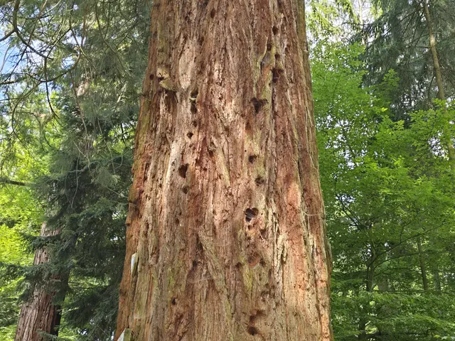 Foto: Heidrun Rosenberger