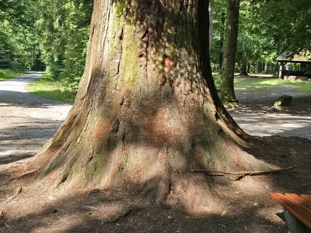 Foto: Heidrun Rosenberger