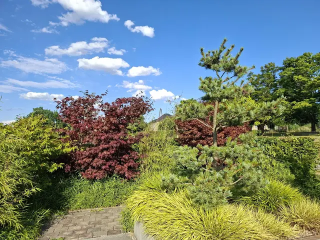 Bad Rappenau- Salinenpark- neues entdecken🌻🐝🌞 | Foto: Ralf Röser