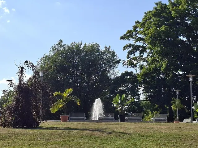 Bad Rappenau- Salinenpark- neues entdecken🌻🐝🌞 | Foto: Ralf Röser