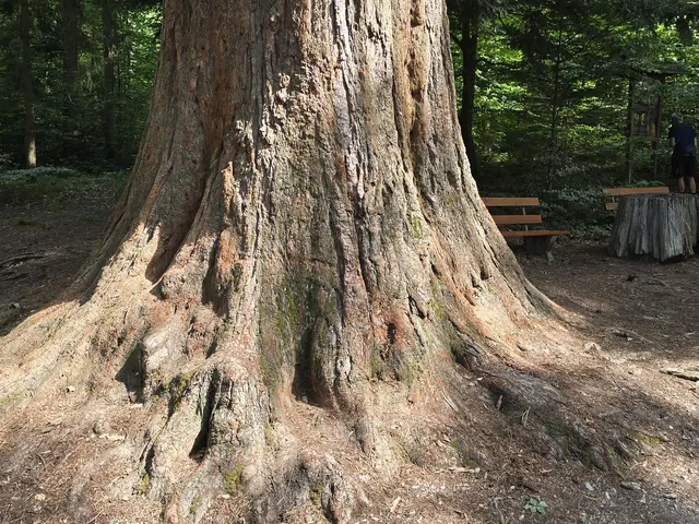 Foto: Heidrun Rosenberger