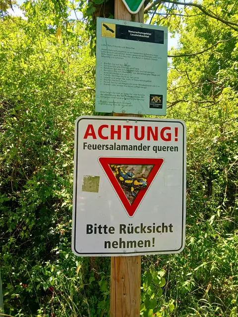 Wir haben leider keine gesehen. Aber der Hinweis zur Rücksichtnahme ist sehr gut 👍.  | Foto: sigischlottke