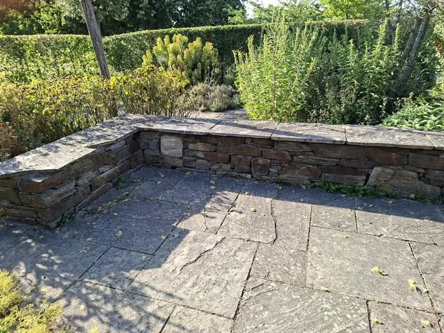 Bad Rappenau- Salinenpark- neues entdecken🌻🐝🌞 | Foto: Ralf Röser