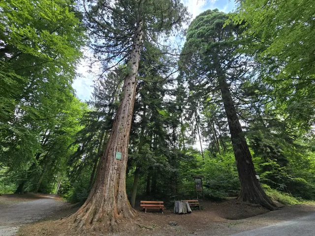 Foto: Heidrun Rosenberger